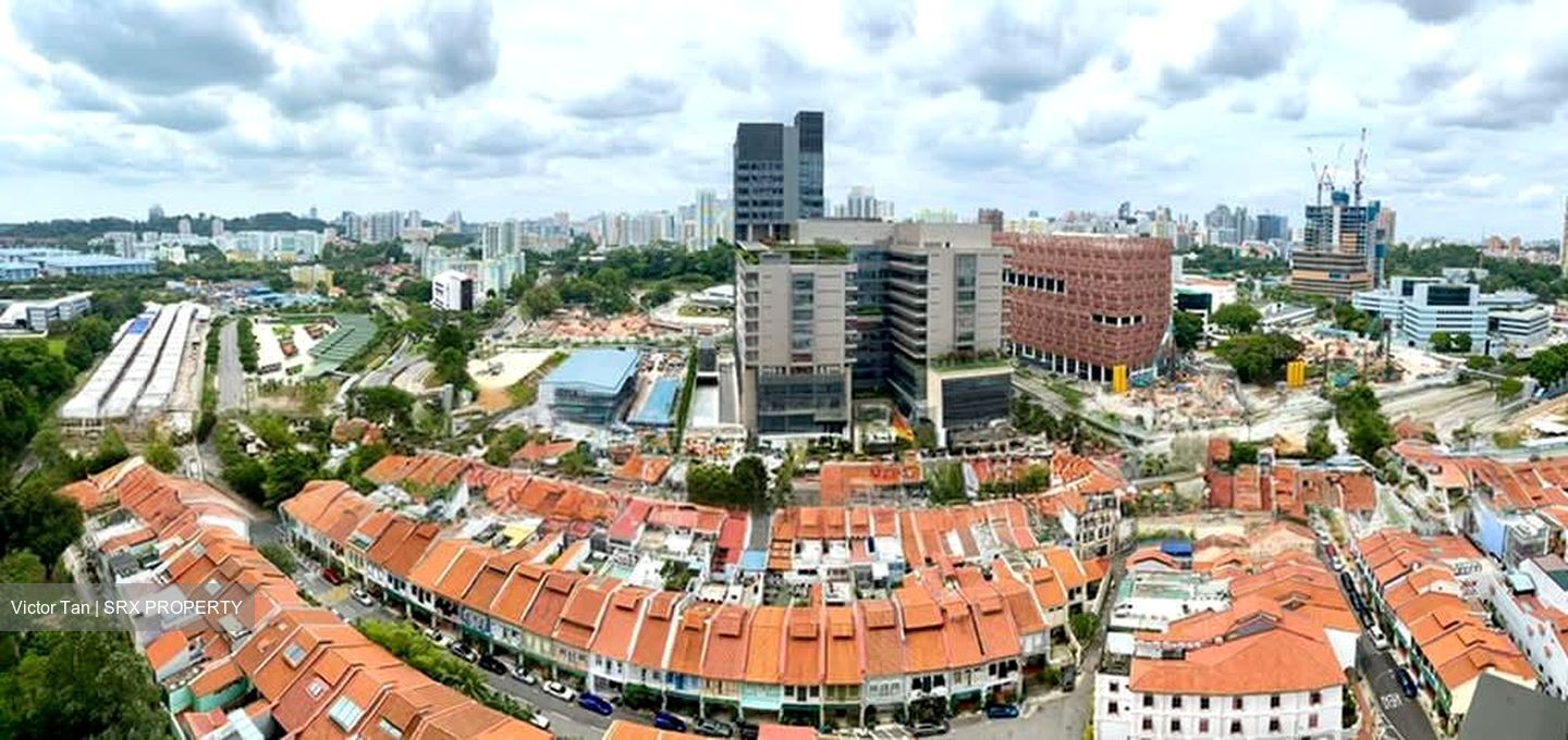 Spottiswoode Residences (D2), Condominium #576814001